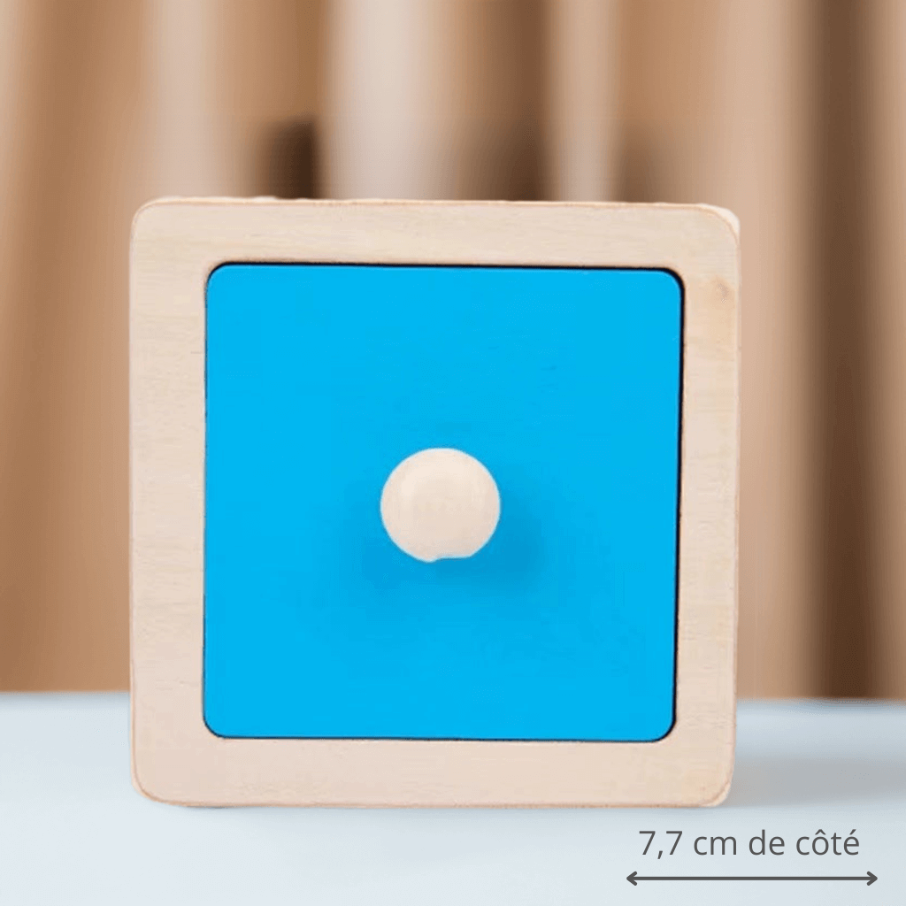 đ§©Puzzle Montessori GĂ©omĂ©trique - InstantJeux
