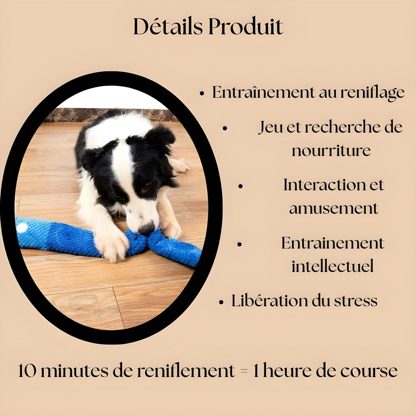 Tapis de Fouille Interactif pour Chiens – Jouet Stimulant avec Couineurs et Cache-Friandises