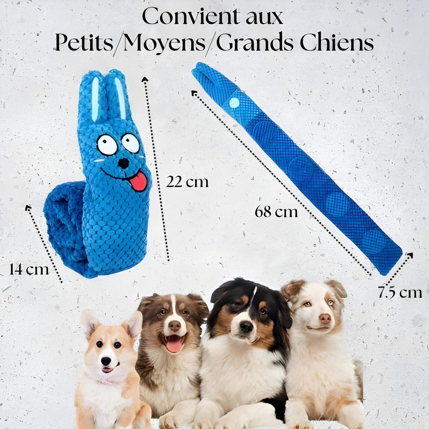 Tapis de Fouille Interactif pour Chiens – Jouet Stimulant avec Couineurs et Cache-Friandises