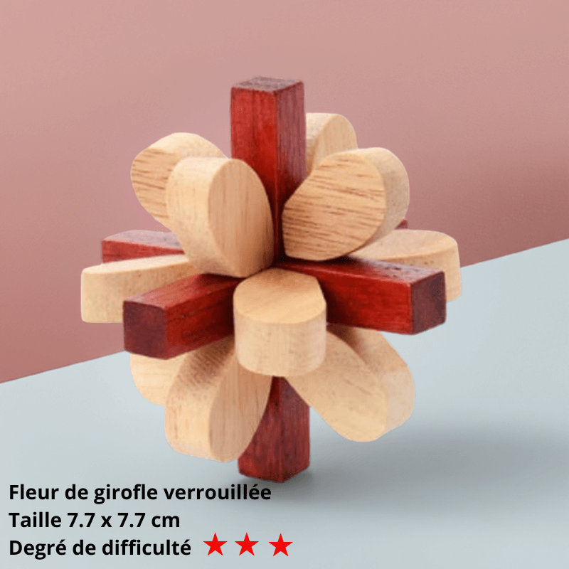 🧒 Jouet éducatif en bois pour enfant - InstantJeux