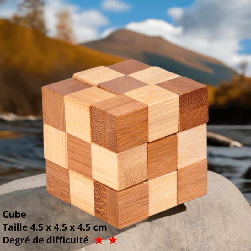 🧒 Jouet éducatif en bois pour enfant - InstantJeux