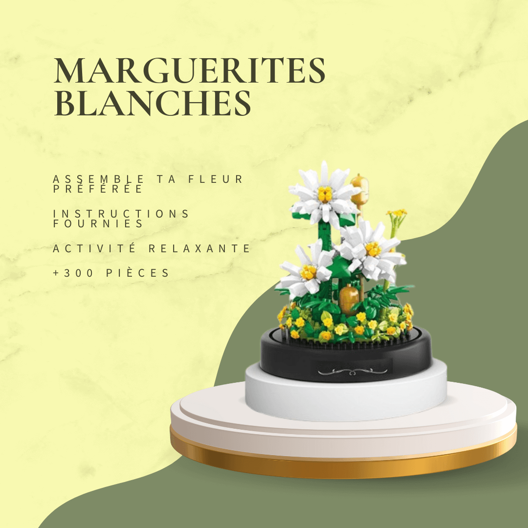 Fleur en particules : Un jardin miniature à construire - InstantJeux