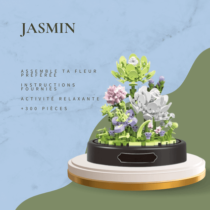 Fleur en particules : Un jardin miniature à construire - InstantJeux