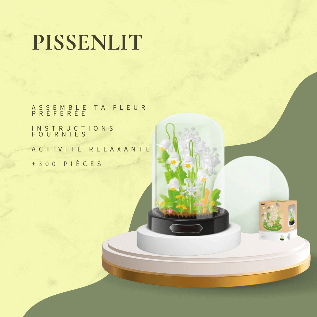 Fleur en particules : Un jardin miniature à construire - InstantJeux