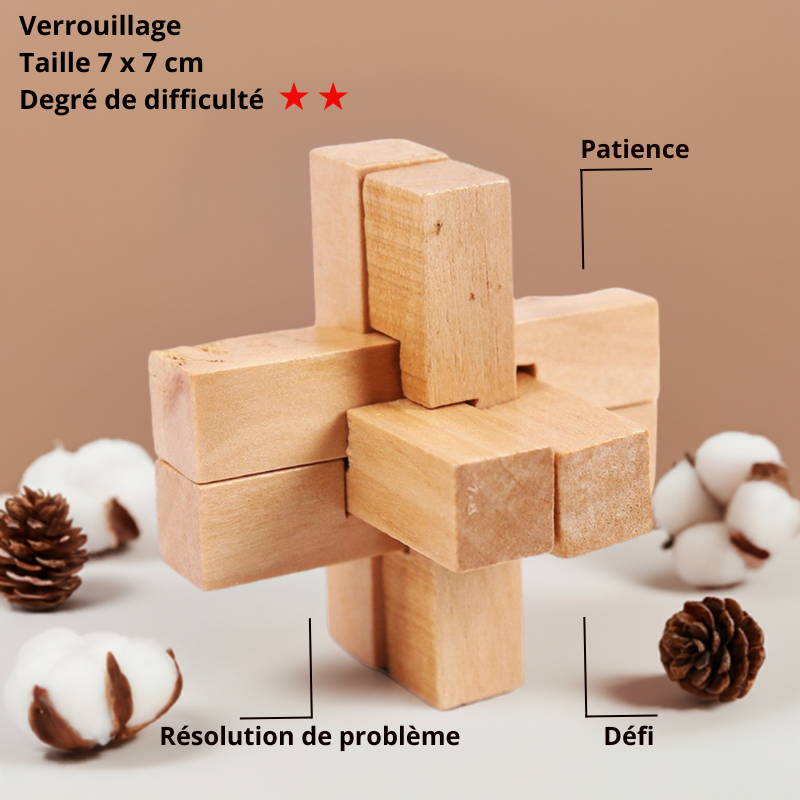Casse-tête 6 pièces en bois : Solution et Astuces pour Débutants - Le ...