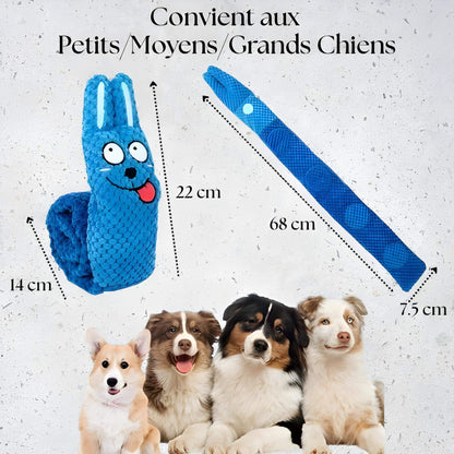 Tapis de Fouille Interactif pour Chiens – Jouet Stimulant avec Couineurs et Cache-Friandises
